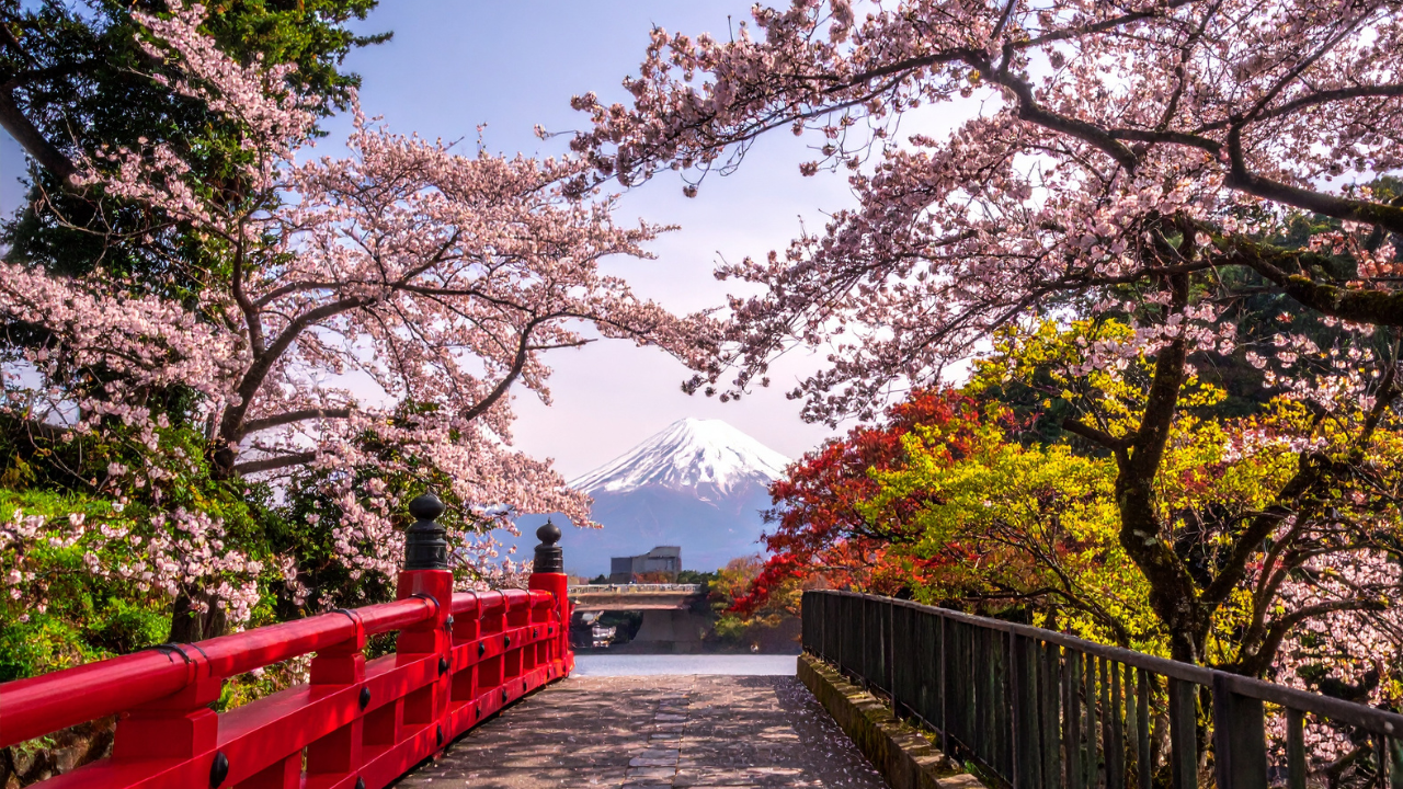 Japan - Image 2