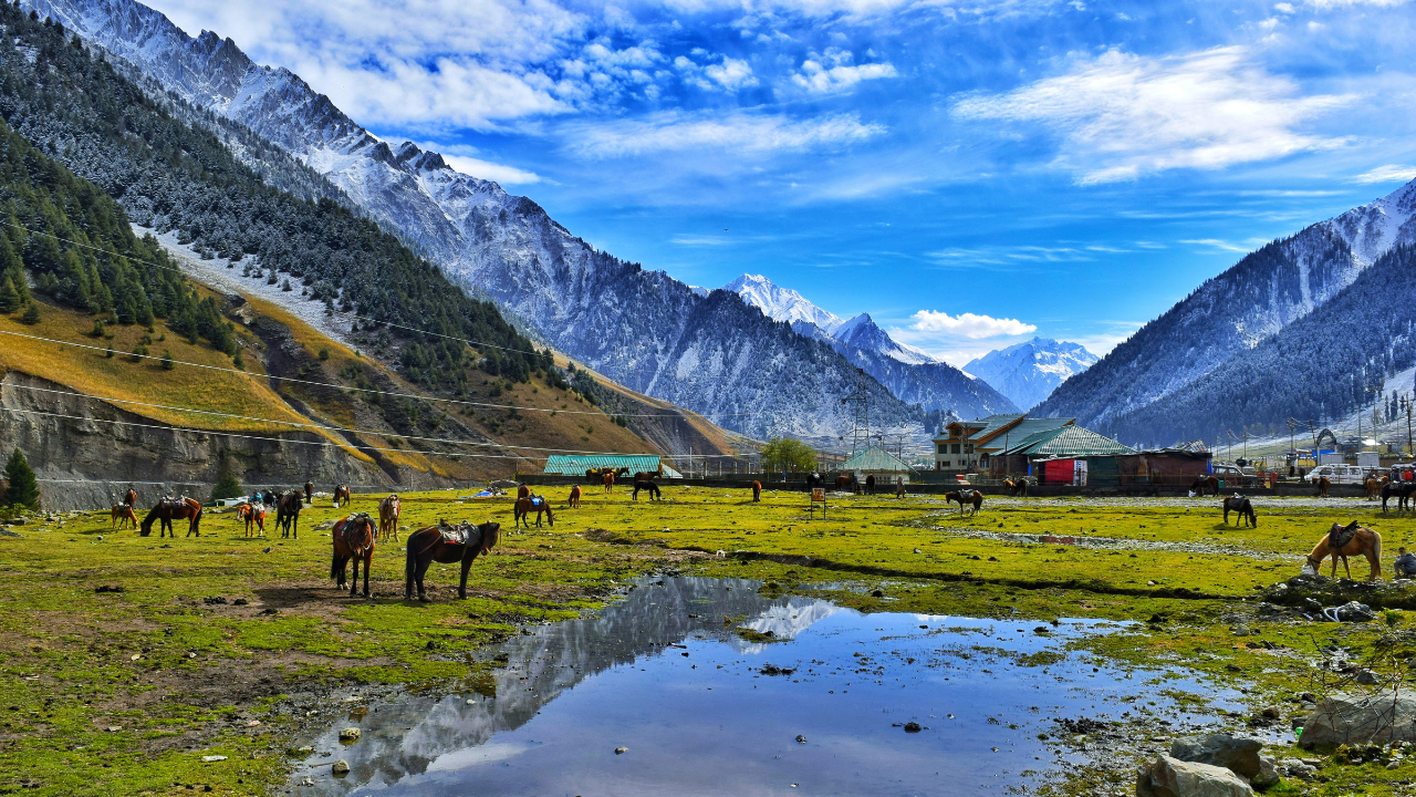 Kashmir - Image 2