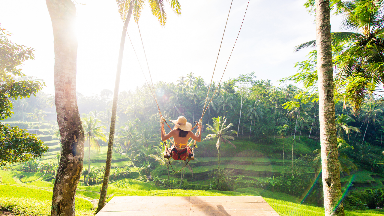 Bali - Image 4