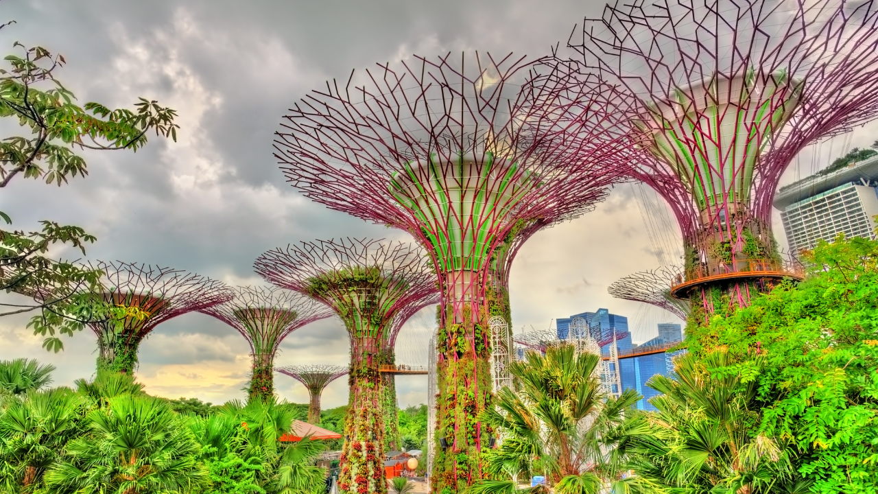 Singapore - Image 4