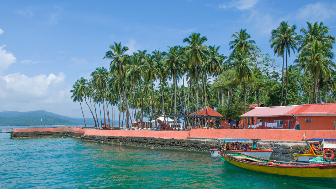 Andaman - Image 3