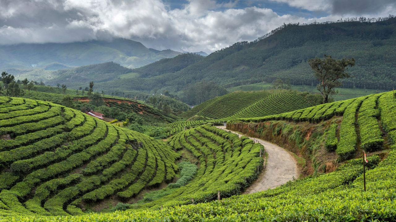 Kerala – God’s Own Country